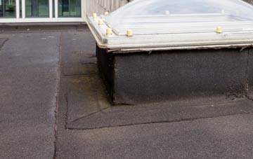 disadvantages of Waste Green flat roofs