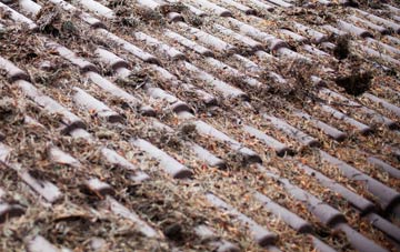 Waste Green roof cleaning companies