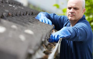 cleaning and inspecting Waste Green roofs